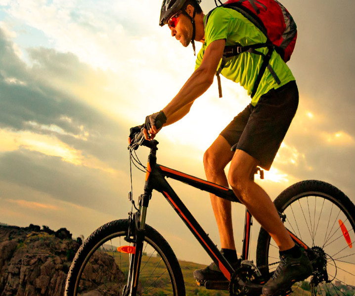 Seguros de Bicicletas